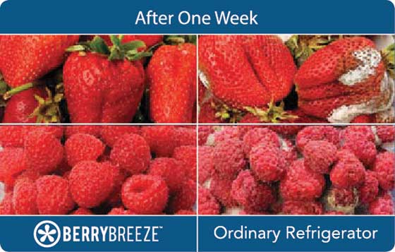 Compare BerryBreeze™